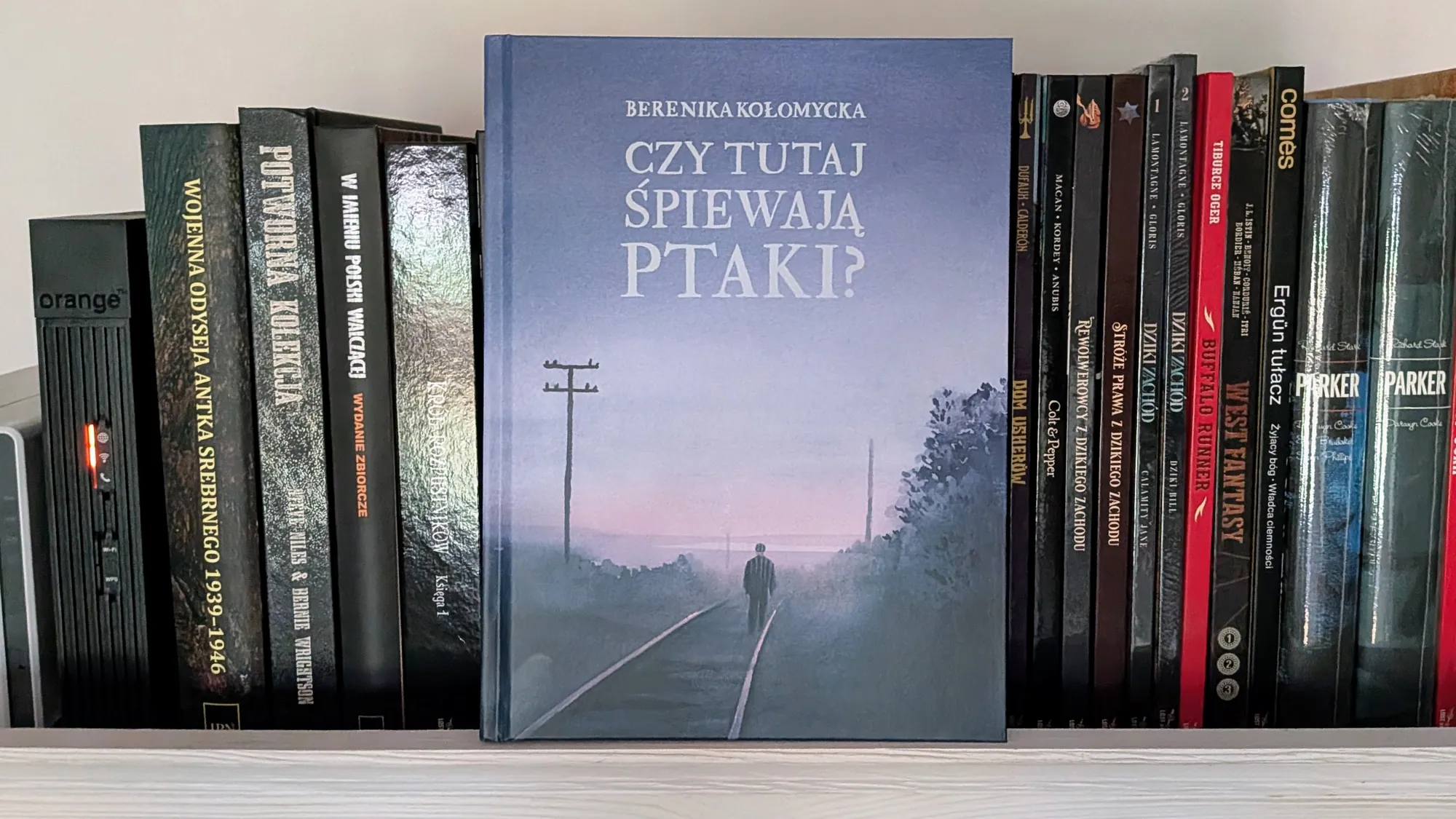 "Czy tutaj śpiewają ptaki?" Recenzja komiksu Bereniki Kołomyckiej